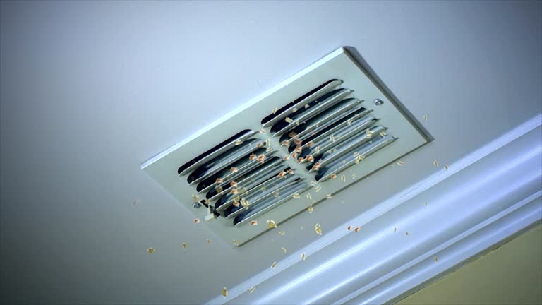 Best Affordable HVAC Duct Cleaning  in Moorhead, MS