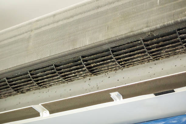 Best Home Air Vent Cleaning  in Moorhead, MS